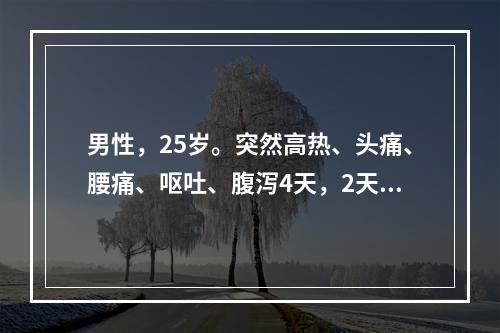 男性，25岁。突然高热、头痛、腰痛、呕吐、腹泻4天，2天来尿