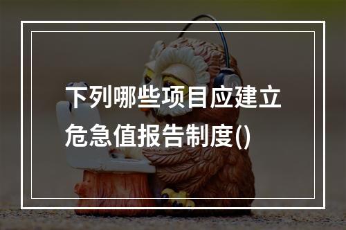 下列哪些项目应建立危急值报告制度()