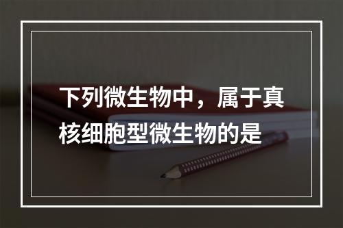 下列微生物中，属于真核细胞型微生物的是