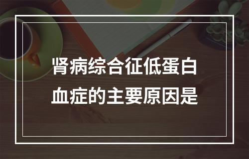 肾病综合征低蛋白血症的主要原因是