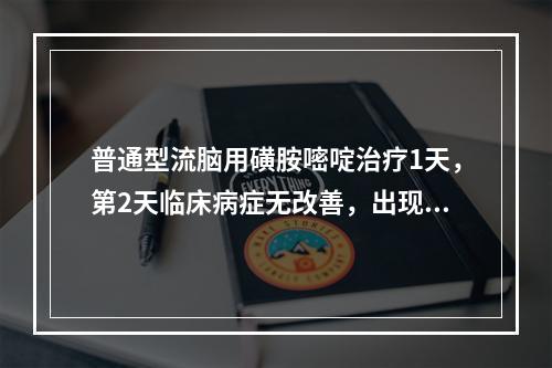 普通型流脑用磺胺嘧啶治疗1天，第2天临床病症无改善，出现颅高