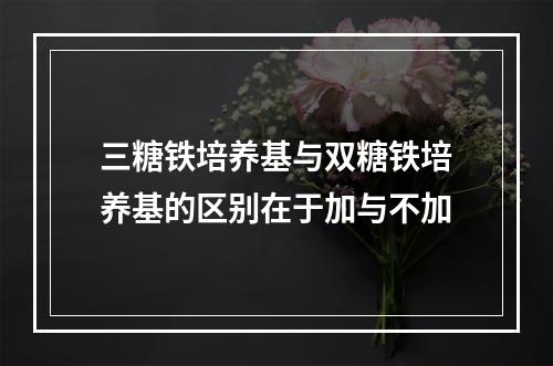 三糖铁培养基与双糖铁培养基的区别在于加与不加