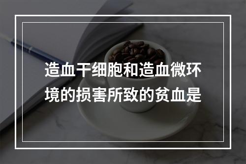 造血干细胞和造血微环境的损害所致的贫血是