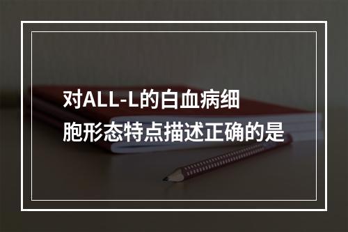 对ALL-L的白血病细胞形态特点描述正确的是