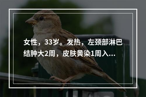 女性，33岁。发热，左颈部淋巴结肿大2周，皮肤黄染1周入院。