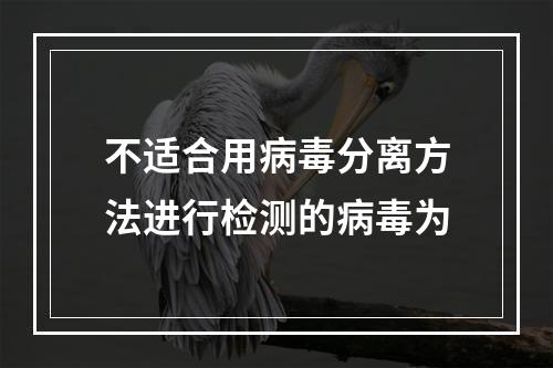 不适合用病毒分离方法进行检测的病毒为