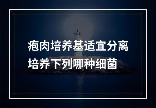 疱肉培养基适宜分离培养下列哪种细菌