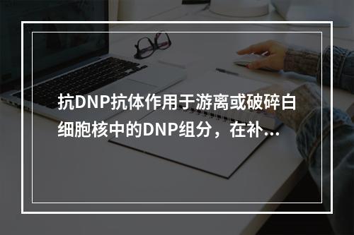 抗DNP抗体作用于游离或破碎白细胞核中的DNP组分，在补体协