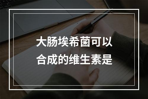 大肠埃希菌可以合成的维生素是