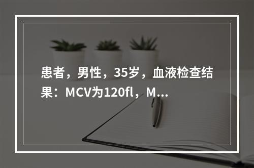 患者，男性，35岁，血液检查结果：MCV为120fl，MCH