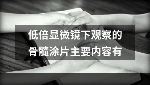 低倍显微镜下观察的骨髓涂片主要内容有