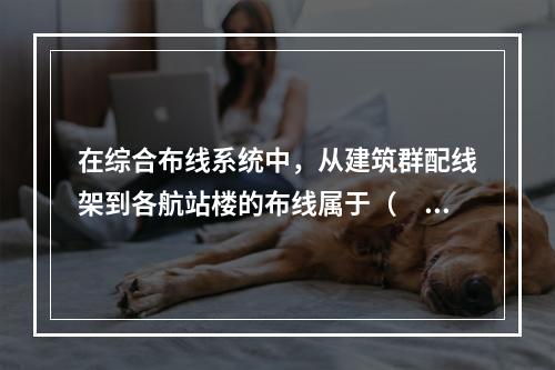 在综合布线系统中，从建筑群配线架到各航站楼的布线属于（　　）