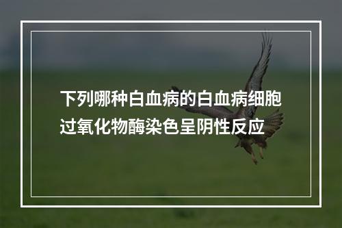 下列哪种白血病的白血病细胞过氧化物酶染色呈阴性反应