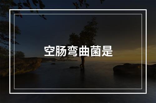 空肠弯曲菌是