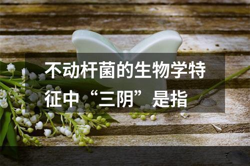 不动杆菌的生物学特征中“三阴”是指