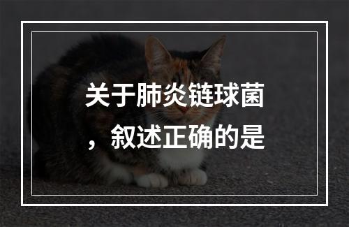 关于肺炎链球菌，叙述正确的是