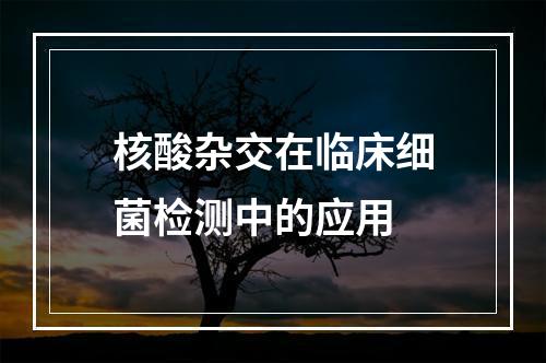 核酸杂交在临床细菌检测中的应用