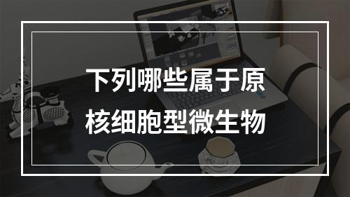 下列哪些属于原核细胞型微生物