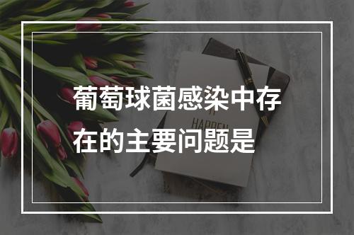 葡萄球菌感染中存在的主要问题是