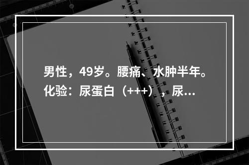 男性，49岁。腰痛、水肿半年。化验：尿蛋白（+++），尿WB