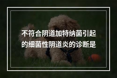 不符合阴道加特纳菌引起的细菌性阴道炎的诊断是