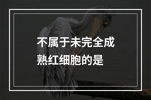 不属于未完全成熟红细胞的是