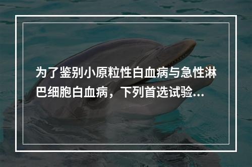 为了鉴别小原粒性白血病与急性淋巴细胞白血病，下列首选试验是