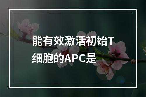 能有效激活初始T细胞的APC是