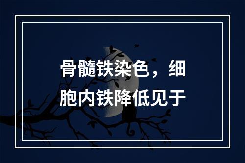 骨髓铁染色，细胞内铁降低见于