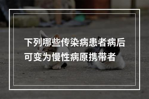 下列哪些传染病患者病后可变为慢性病原携带者