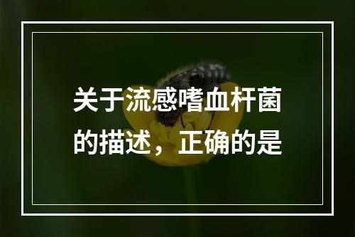 关于流感嗜血杆菌的描述，正确的是