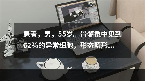 患者，男，55岁。骨髓象中见到62％的异常细胞，形态畸形，核