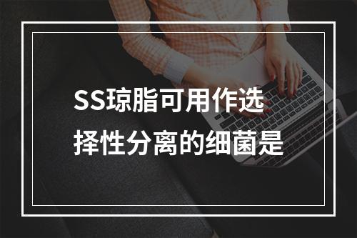 SS琼脂可用作选择性分离的细菌是