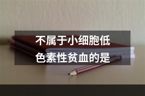 不属于小细胞低色素性贫血的是