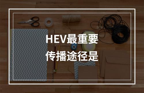 HEV最重要传播途径是