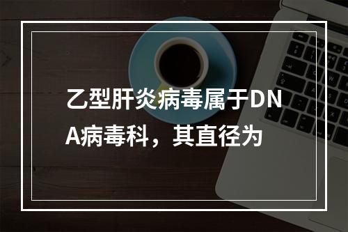 乙型肝炎病毒属于DNA病毒科，其直径为