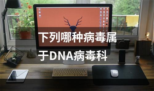 下列哪种病毒属于DNA病毒科