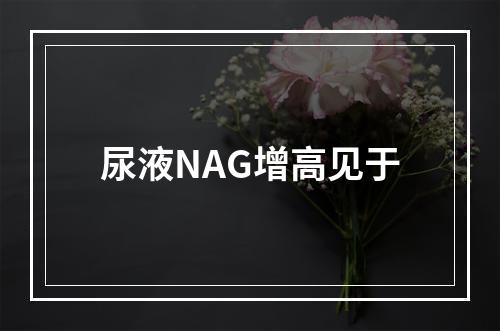 尿液NAG增高见于