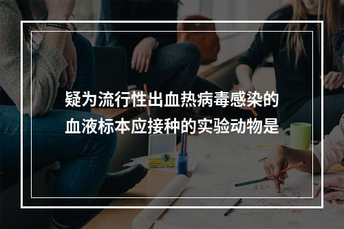 疑为流行性出血热病毒感染的血液标本应接种的实验动物是