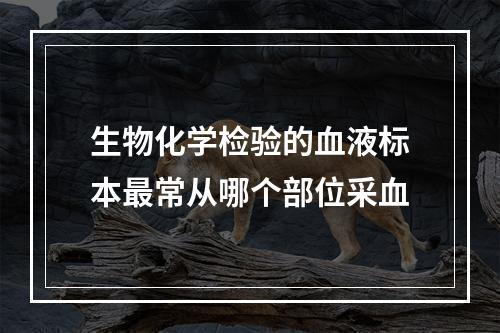 生物化学检验的血液标本最常从哪个部位采血