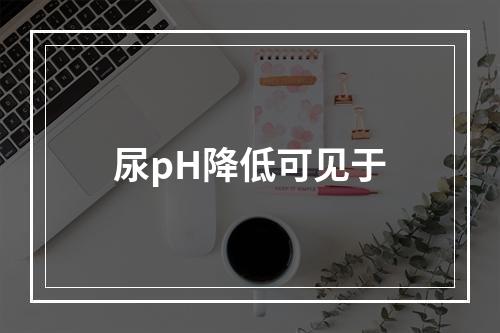 尿pH降低可见于