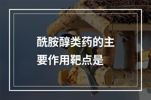 酰胺醇类药的主要作用靶点是