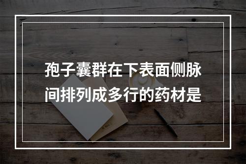 孢子囊群在下表面侧脉间排列成多行的药材是