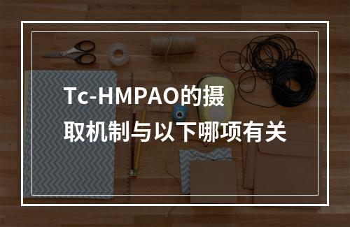 Tc-HMPAO的摄取机制与以下哪项有关