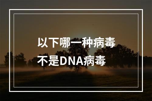 以下哪一种病毒不是DNA病毒