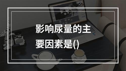 影响尿量的主要因素是()