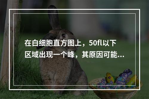 在白细胞直方图上，50fl以下区域出现一个峰，其原因可能是