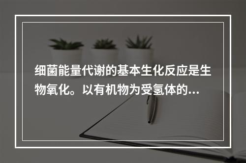 细菌能量代谢的基本生化反应是生物氧化。以有机物为受氢体的代谢