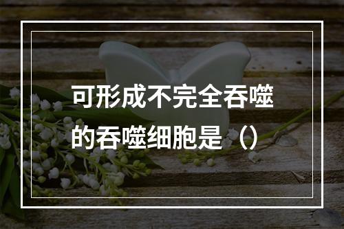 可形成不完全吞噬的吞噬细胞是（）