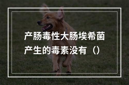 产肠毒性大肠埃希菌产生的毒素没有（）